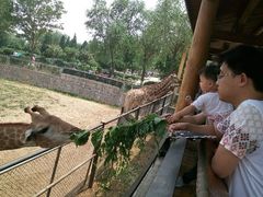 android_upload_pic-石家庄市动物园