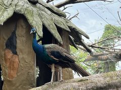 -长鹿旅游休博园