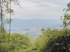 -缙云山景区