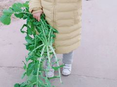-小鱼草莓采摘园农家乐·小鱼餐厅