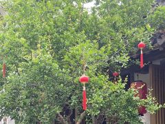 -鲤院·新中式美学·庭院餐厅(夫子庙店)