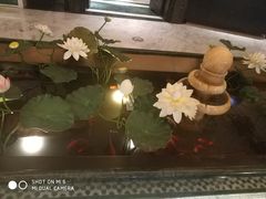 -青泰足浴·SPA养生连锁(新区店)