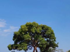 -良渚古城遗址公园