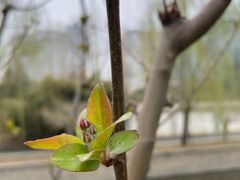 -元大都城垣遗址公园