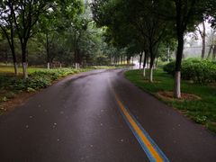 -永定河休闲森林公园