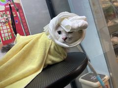 -PETKIT 小佩宠物·低压洗护·美容·寄养(安远店)