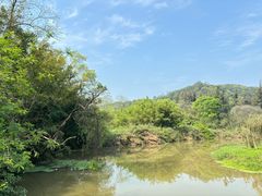 -南宁良凤江国家森林公园