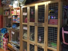 -爱宠屋pet shop·宠物洗澡·宠物美容