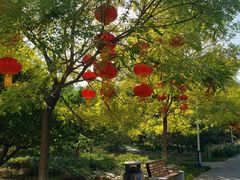 -丰台花园