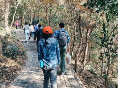 -紫金山山顶公园