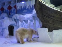 -芜湖新华联大白鲸海洋公园