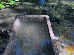 -海淀公园