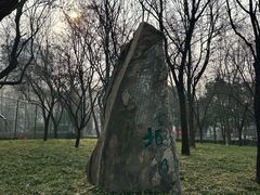 -唐城墙遗址公园