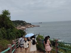 -广东惠东海龟国家级自然保护区