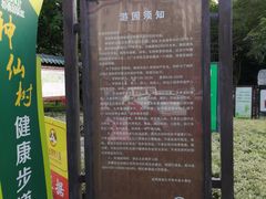 -神仙树公园