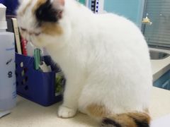 -莘程宠物医院(金山店)