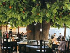 -四世同堂·京菜·烤鸭(双井店)
