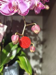-同仁堂知嘛健康·塑龄中心