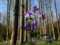 -停车场(临桂路)