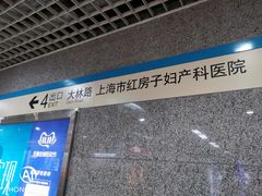 -陆家浜路(地铁站)