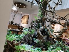 -木府