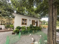 -DORA kids 朵拉儿童摄影花园店