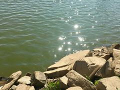 -秋水广场音乐喷泉