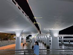 -演武大桥观景平台