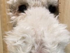 -MOJO密室逃脱(中街旗舰店)