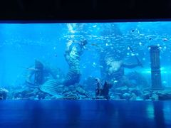 -波塞冬旅游度假区