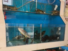 -原龙海鲜大排档(美食地标店)
