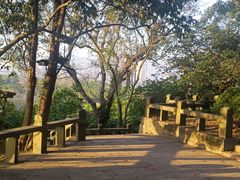 -江心屿景区