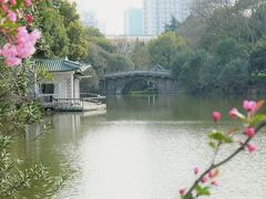 -和平公园