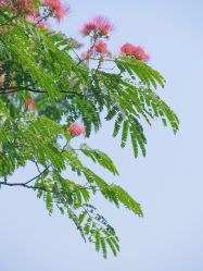-玄武湖景区-情侣园游乐场