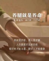 点击看大图 -YESIDO椰岛美容