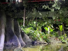 -江和美海洋公园