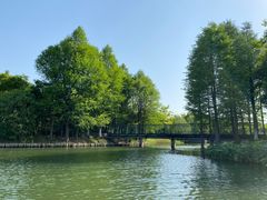 -尚贤河湿地