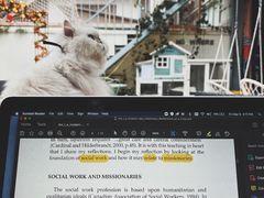 -喵屿·大理花园猫咖