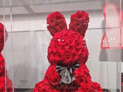 -ROSEONLY诺誓(国际广场购物中心店)