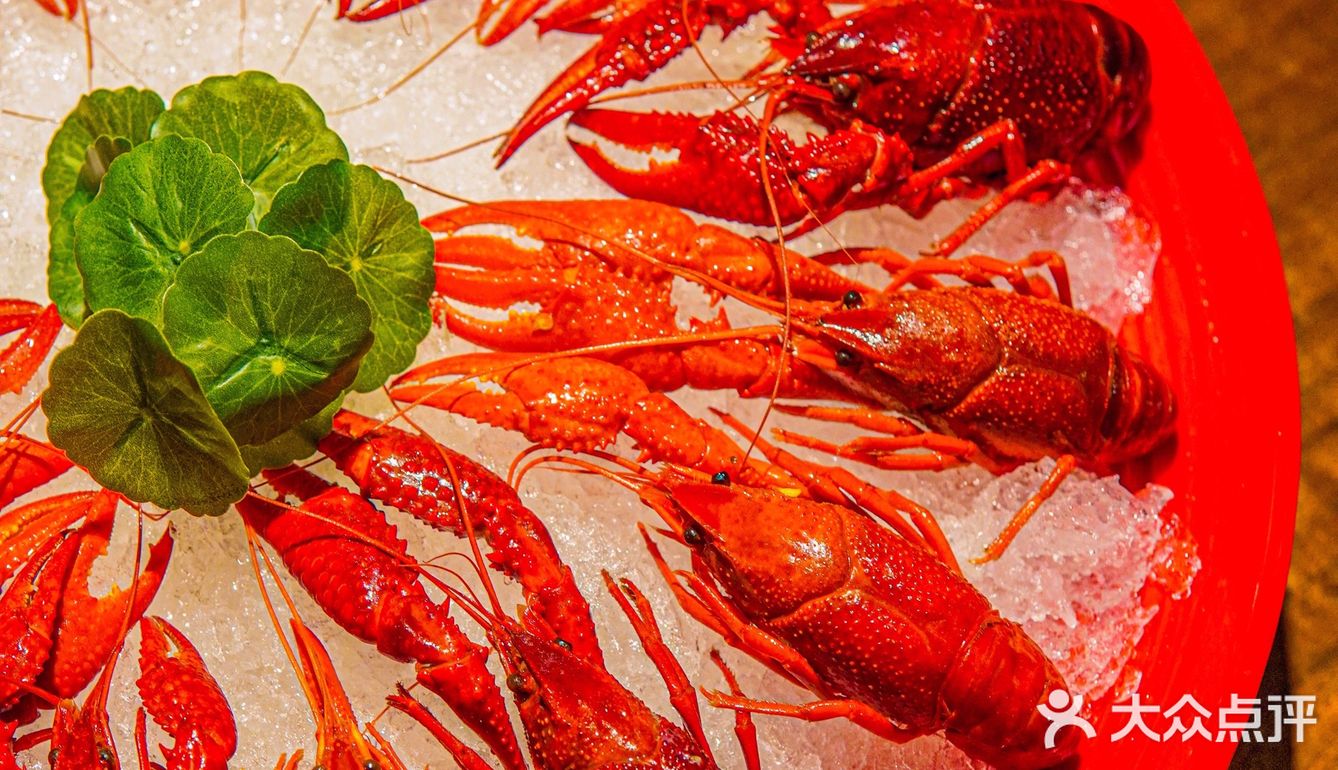 生腌熟醉抱盆炫‼️小龙虾生蚝可劲造‼️乔街开新店啦‼️