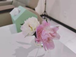 -纤纤玉手美甲美睫美容