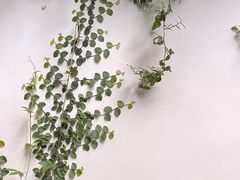 -杭州黄龙洞