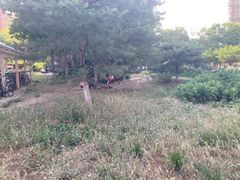 -贞姬紫菜包饭(金泰广场店)