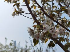-游心咖啡(青山滨江店)