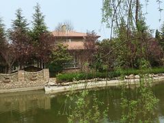 -芭东小镇温泉