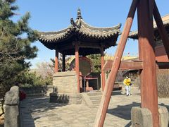 -善化寺