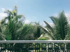 -富国岛翡翠湾 JW 万豪度假酒店