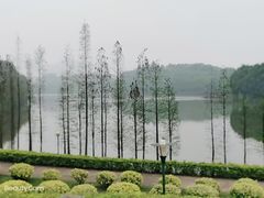 -三水森林公园