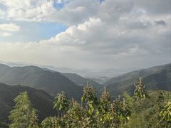 -四明山国家森林公园