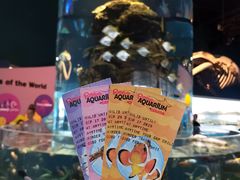 -瑞普利水族馆